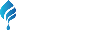 MAVERICK CONSULTING INC